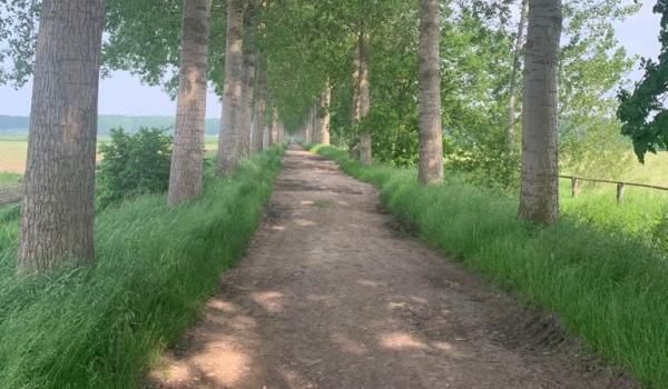 Insightful Walk Marie Van Volcem and Birgit De Smedt